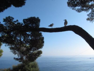 Non siamo soli