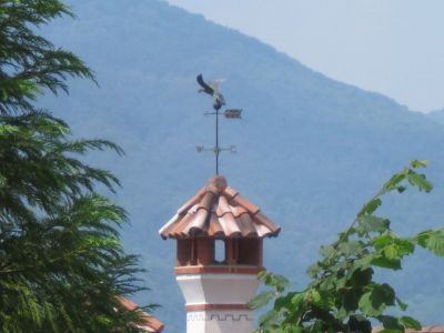 L'aquila