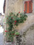 L'amore perso