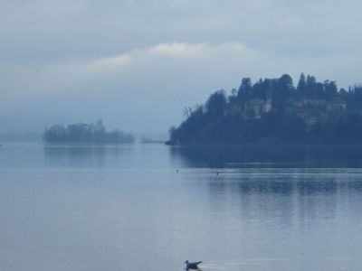 Alla riva del lago