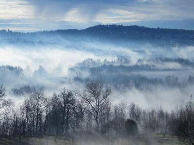 Nella nebbia