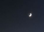 La notte delle stelle cadenti