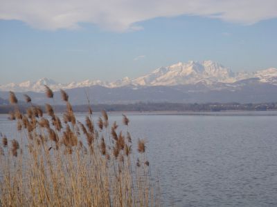 Sul bus cittadino