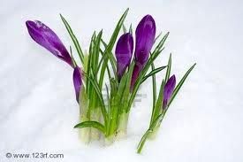Nei Giorni di Neve