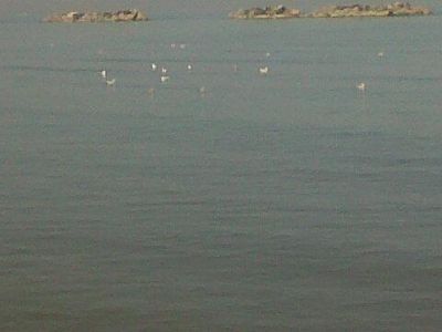 Quattro volte rimbalz il sasso nel mare