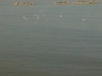 Quattro volte rimbalz il sasso nel mare