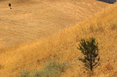 Stringe il ricordo di tempi lontani