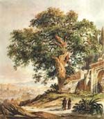 La Vecchia Quercia  