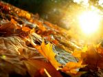 Autunno