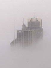 Nella nebbia