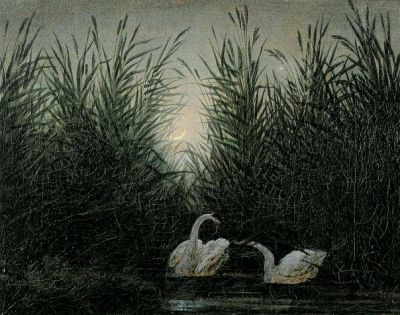 La Morte d'un Cigno