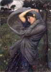 La Luna, la Notte, i Sogni
