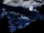 Genziana  la notte