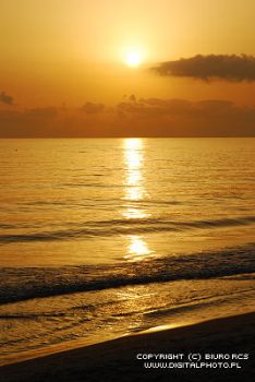 La lunga notte