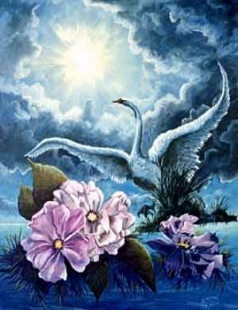 Il cigno