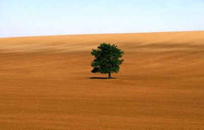 Ha dimora nel deserto  