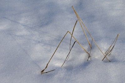 Nell'attesa di un sussulto