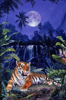 Tigre mansueta
