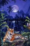 Tigre mansueta