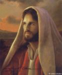Il paese delle meraviglie