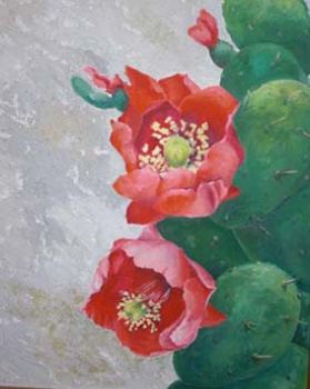 Fiori di cactus  