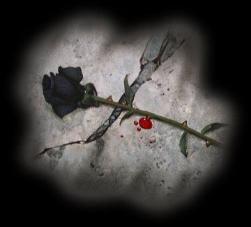 Amore e disamore