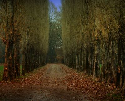 L'ansia dell'attesa