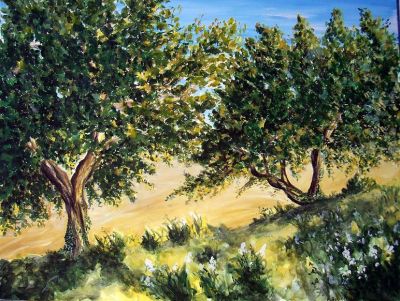 Alberi
