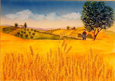 Quel campo