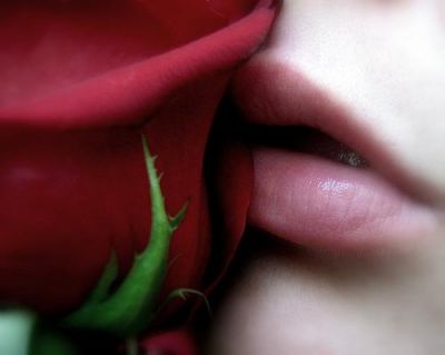 Solstizio d'amore