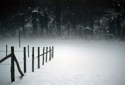 Sfumature di bruma
