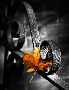 Approdi d’autunno