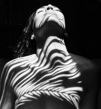 Sulle scorie della vita