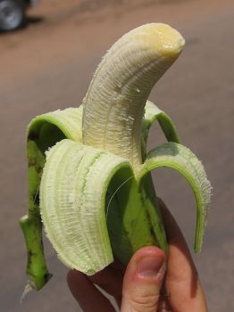 Pesca vellutata  