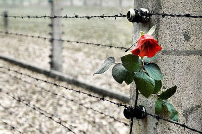 Di mille sguardi vuoti - Shoah, il dolore della memoria -