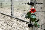Di mille sguardi vuoti - Shoah, il dolore della memoria -