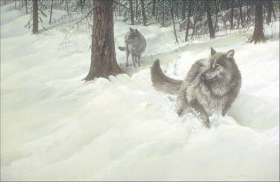 Passione di neve