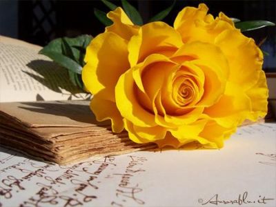 Non era amore