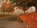 La cornice dell'autunno  