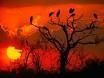 Verso il tramonto