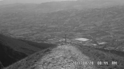 Negli Occhi Del Sole Ti Trover  