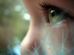 Il Colore Pi Dolce D'Ogni Stagione  