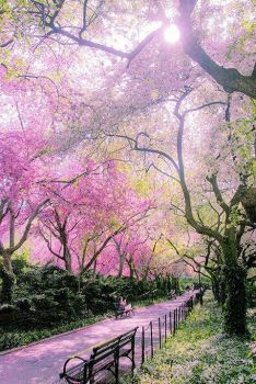 Le chemin des possibles