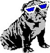 Gli animali  