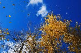 E' autunno  