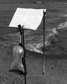 Concerto in sconcerto