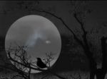 Canto alla luna