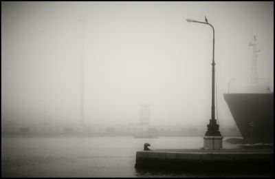 Bruma sul mare