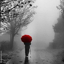 Se il destino volesse