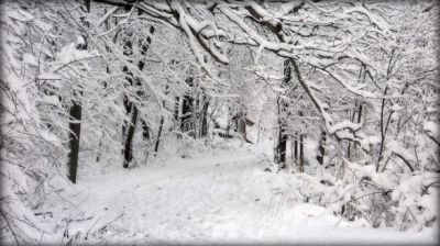Qui è inverno ormai